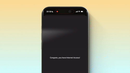 SharedKit View Modifier Example (SwiftyLaunch Module) - requireNetwork