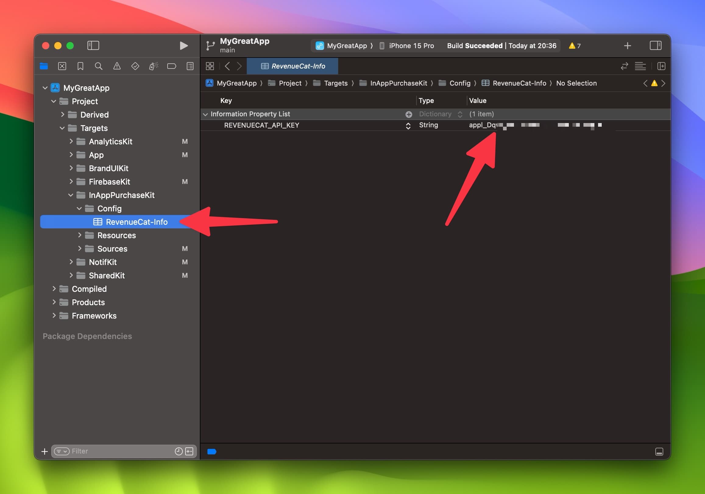 Xcode Paste RevenueCat API Key
